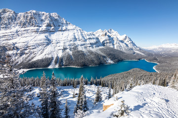 Fototapeta na wymiar Peyto Lake, Canadá, en invierno