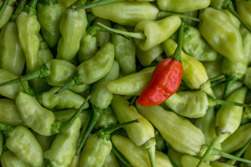 red and green chili peppers