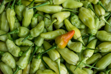 green and red chili peppers