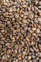 coffee beans close up
