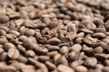 coffee beans close up