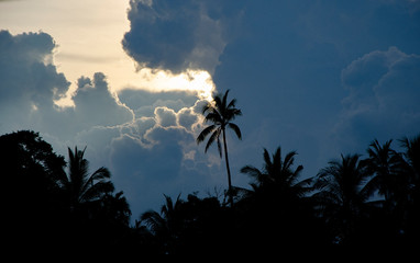 don Khon laos 01
