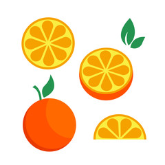 Orange citrus parts set half fruit icon bright art vector - 341765856