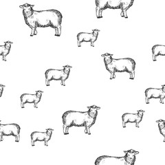 Sheep animal seamless pattern background sketch engraving vector illustration. T-shirt apparel print design. Scratch board imitation. Black and white hand drawn image.