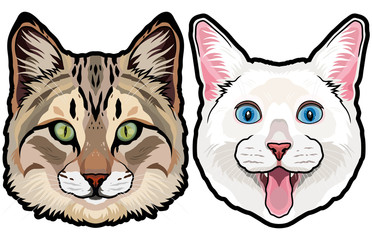 Set of two colored house cat heads vector illustration isolated