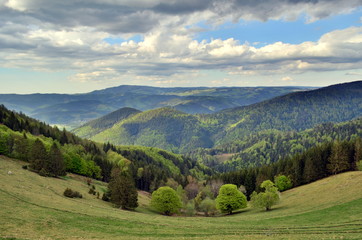 Fototapeta premium Blick vom Hinterwaldkopf auf den Schwarzwald