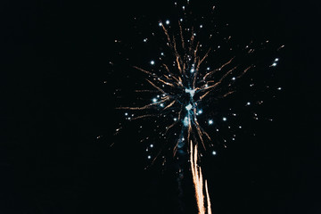Fototapeta premium fireworks in the night sky