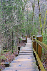 Nature in Sigulda, Latvia