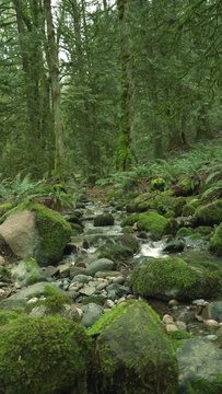4K drone footage of Coal Creek river in Seattle Washington