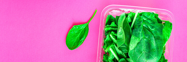 spinach petals, fresh green vegetables grass microgreen Menu concept, food background, keto or paleo diet. top view. copy space for text