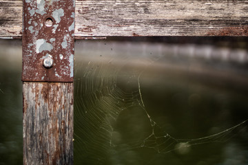 spider web in an abandoned wooden fence