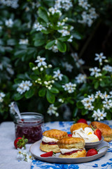 Freshly baked home made scones with strawbery jam and clotted cream