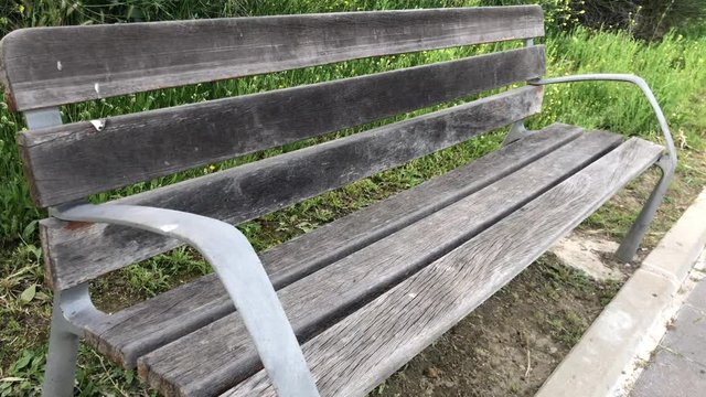 wooden vanco in an empty park