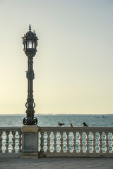 Farola artística del paseo marítimo de Cadiz al atardecer con tres gaviotas en el pasamanos
