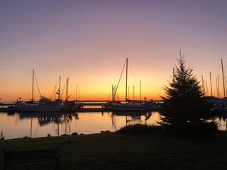 Harbor at Sunset with Silhouettes