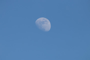 Vollmond am Tag