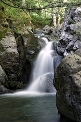 Naklejka premium Silky looking waterfall view. Greenish environment and refreshing water