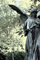 Old Worn Angel Statue in Forest with copy space.   Digital toning and processing with fine film grain added. Condolence card.