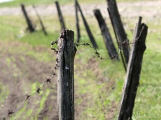 wooden fence on the field