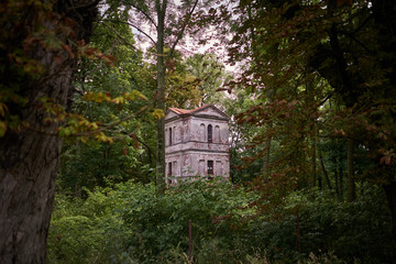 Fototapeta na wymiar las pałac krajobraz drzewa brama ruiny