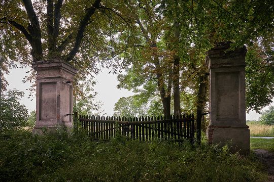 las pałac krajobraz drzewa brama ruiny