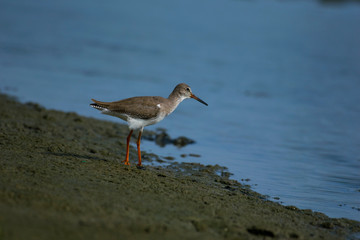 Obraz premium Waiting for fishing