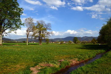 Frühlingslandschaft im Dreisamtal bei Freiburg