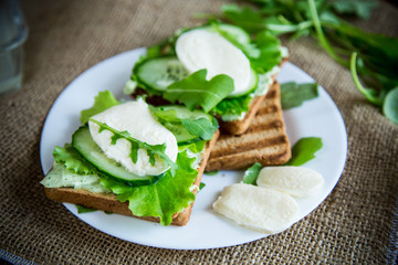 fried bread toasts with salad leaves, cheese spread and mozzarella in a plate