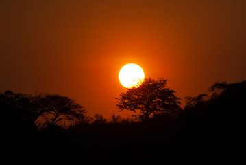 Setting the Sun at dusk from Guatemala City, silhouetted by mountains and trees, peaceful dusk in the middle of the Covid 19 pandemic Central America.