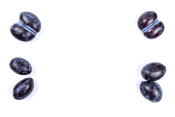 Fresh blue plums, isolated on white background, in close-up.