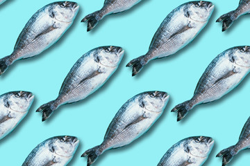 Fish pattern on blue background. Top view. Creative design for packaging. Food seamless pattern....