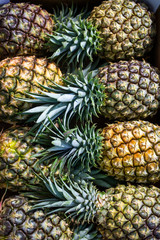  pineapples arranged in a box