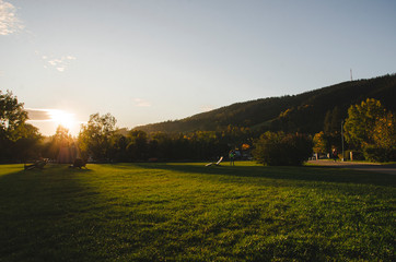 sunset in the park