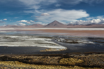 Andean Eduardo Avaroa National Wildlife Reserve, Bolivia, South America.LAGUNA COLORADA