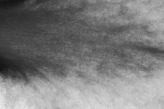Abstract photo flower petal macro texture - greyscale