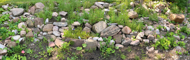 Panoramic view of a rock garden with wild flowers