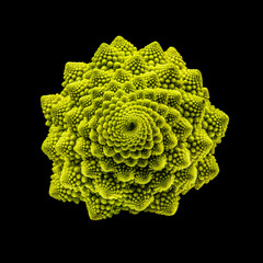 Romanesco - Goldener Schnitt