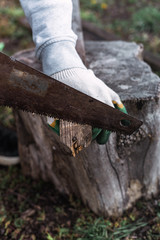a man sawing a piece of wood with a saw, cut firewood with a saw, sawing boards, logs