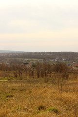 Vertical image of beautiful landscape. Landscape, nature, farmland concept. Nature background.  
