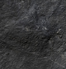 Limestone marble, no out of focus, stacking image.