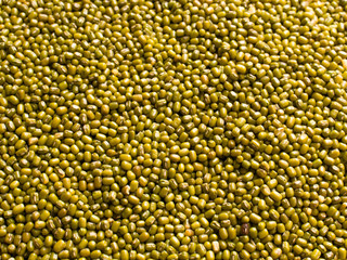 moong dal isolated stock images 