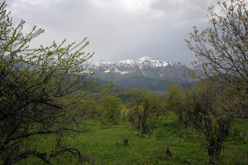Tian Shan mountains view near Sary-Chelek lake, Kyrgyzia