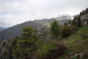 Scenic landscape view near Sary-Chelek Lake, Kyrgyzstan