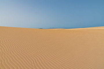 the sand desert dunes