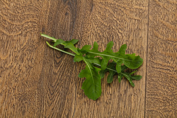 Green fresh Rocket leaves