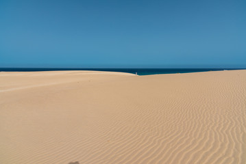 the sand desert dunes