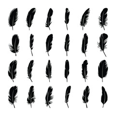 Hand Drawn black silhouette feather collection © ArtsUtopia