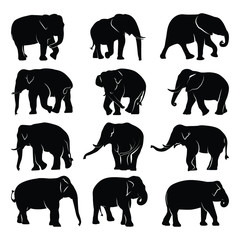 Hand drawn Elephant silhouette collection