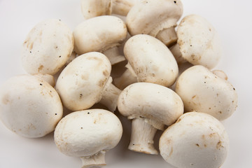 Mushrooms on a white background. Mushrooms for cooking delicious dishes.
