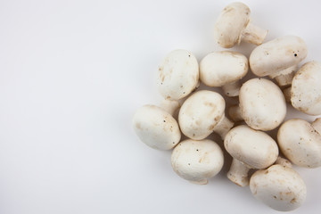 Mushrooms on a white background. Mushrooms for cooking delicious dishes.